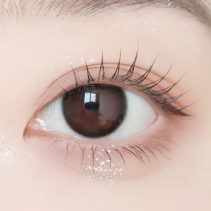 Ann365 Just 1Day Black (Daily/10Pc)