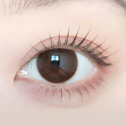 Ann365 Just Max Choco (Monthly/2Pc)