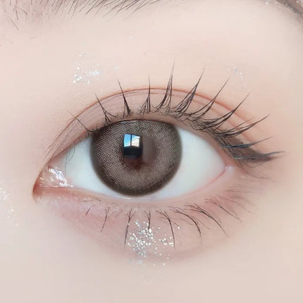 Ann365 Photogenic 1Day Taupe Gray (Daily/10Pc)