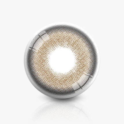 Ann365 Photogenic 1Day Taupe Gray (Daily/10Pc)