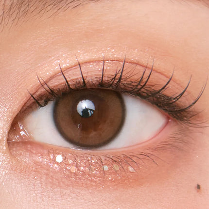 Chuu Aery Rose 1Day Lucid Brown (Daily/10Pc)