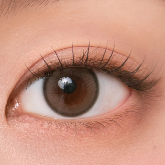 Chuu Aery Rose 1Day Lucid Gray Colored Contact Lenses (1Day/10Pc)