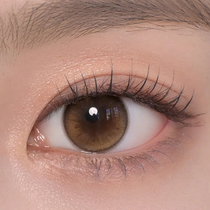 Chuu Daisy Shower 1Day Pure Brown (Daily/10Pc)