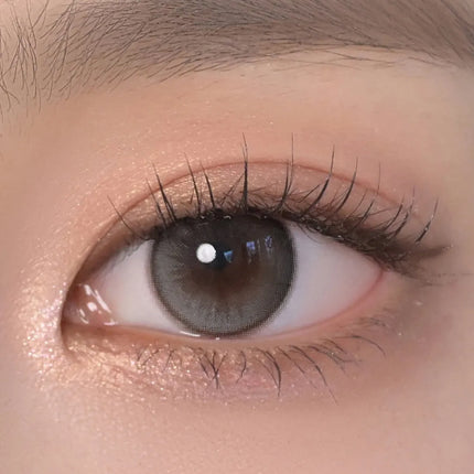 Chuu Daisy Shower 1Day Pure Gray (Daily/10Pc)