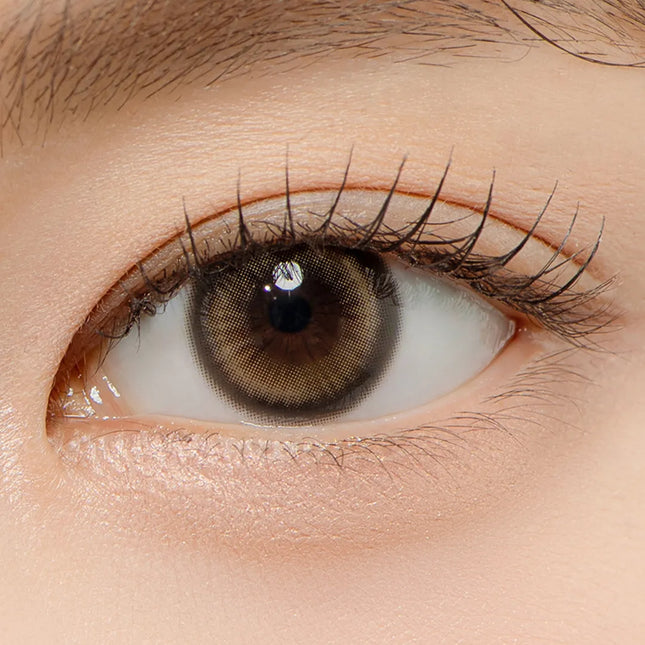 Chuu Lily Daze Sun Brown (Monthly/10Pc)