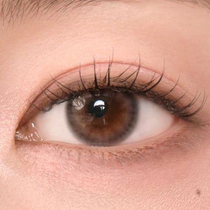 Chuu New Cloud Pudding 1Day Mousse Brown (Daily/10Pc)