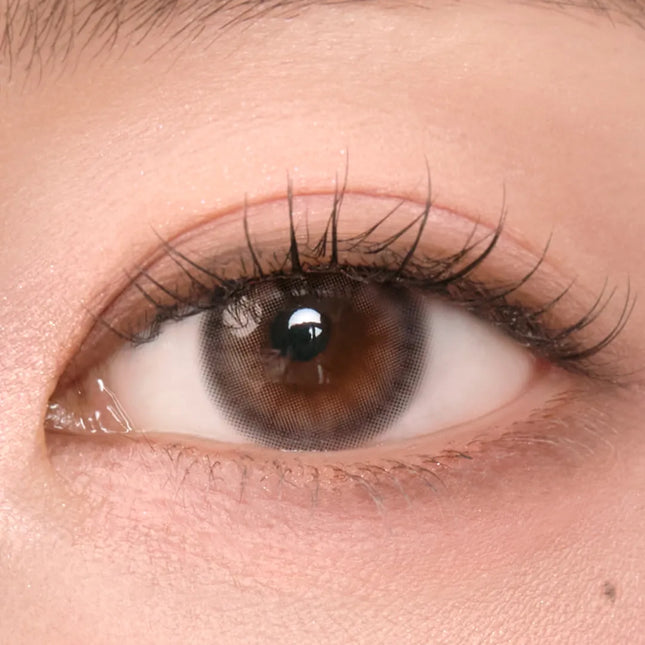 Chuu New Cloud Pudding 1Day Mousse Brown (Daily/10Pc)