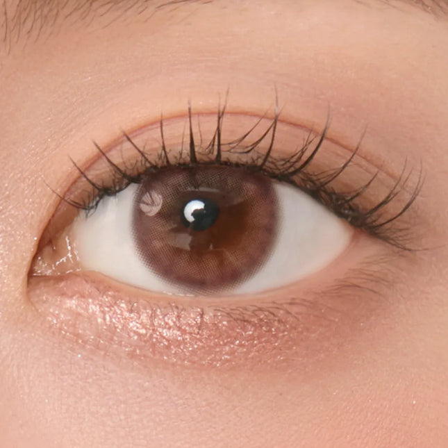 Chuu New Cloud Pudding 1Day Pink Brown (Daily/10Pc)