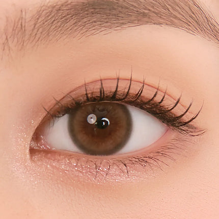 Chuu Pompon Pop 1Day Bubble Brown (Daily/10Pc)