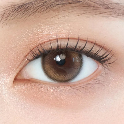 Gemhour Demeter 13.5 1Day Amber Brown Daily x 10Pc