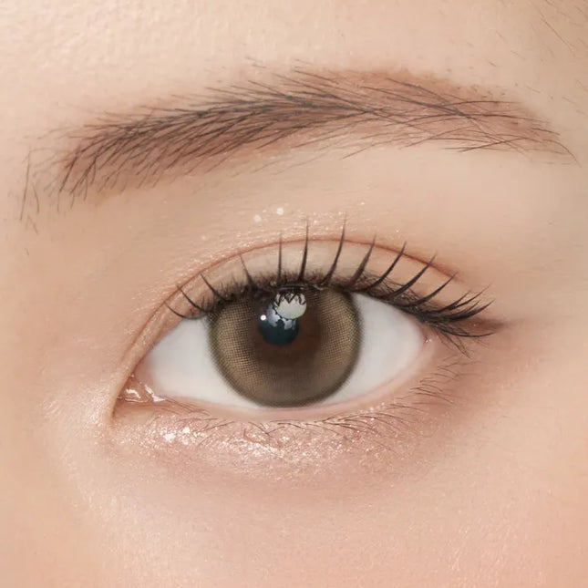 Gemhour Demeter 13.5 1Day Ash Brown Daily x 10Pc