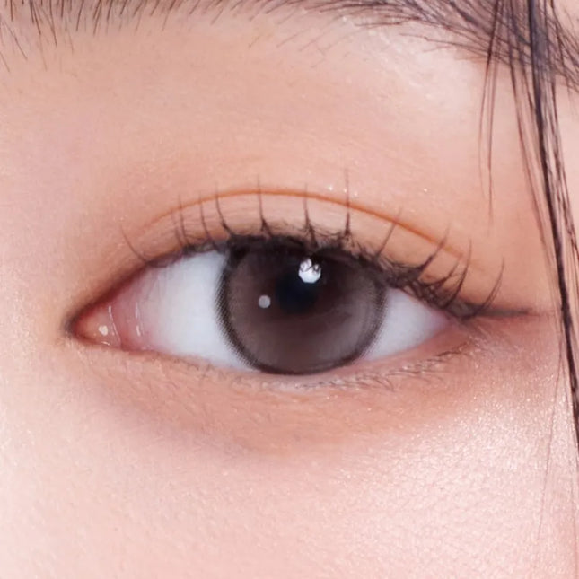 Gemhour Demeter 13.5 1Day Ash Choco Daily x 10Pc