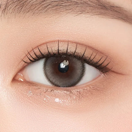 Gemhour Demeter 13.5 1Day Pebble Gray Daily x 10Pc