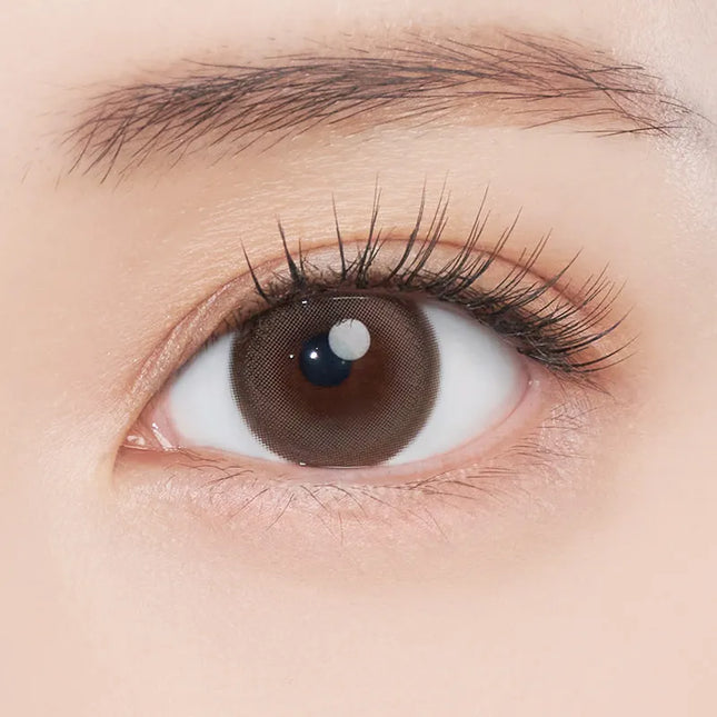 Gemhour Freyja 1Day Mood Brown Daily x 10Pc