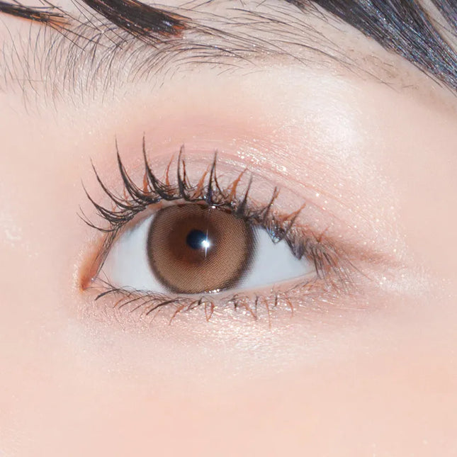 Gemhour Hecate 1Day Ginger Brown Daily x 10Pc