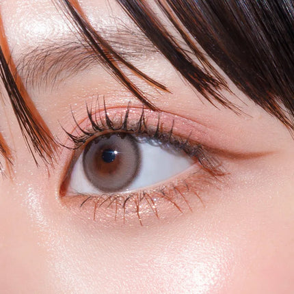 Gemhour Hecate 1Day Taupe Gray Daily x 10Pc