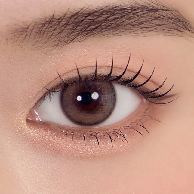 Gemhour Melinoe 1Day Beige Brown Daily x 10Pc