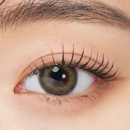 Gemhour Muse Olive Beige Monthly x 2Pc