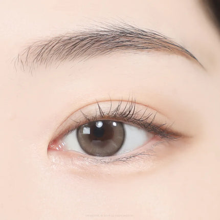 Gemhour Thetis 1Day Brown Daily x 10Pc