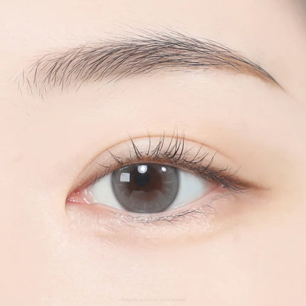 Gemhour Thetis 1Day Gray Daily x 10Pc