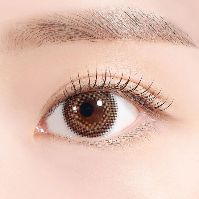 Hapa Adorable Kristin 1Day Brown Colored Contacts (1Day/10Pc)