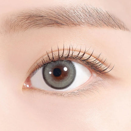 Hapa Born To Be Kristin Gray (Monthly/2Pc)