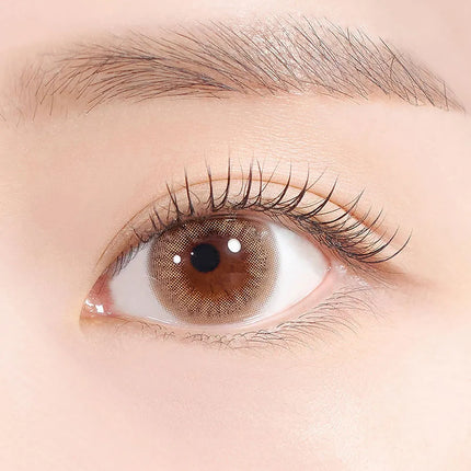 Hapa Cheerful Kristin Violet (Monthly/2Pc)