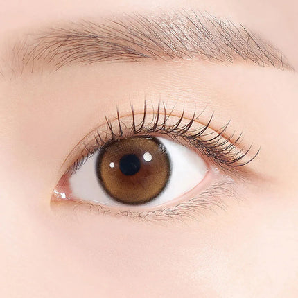 Hapa First Love Kristin 1Day Brown (Daily/10Pc)