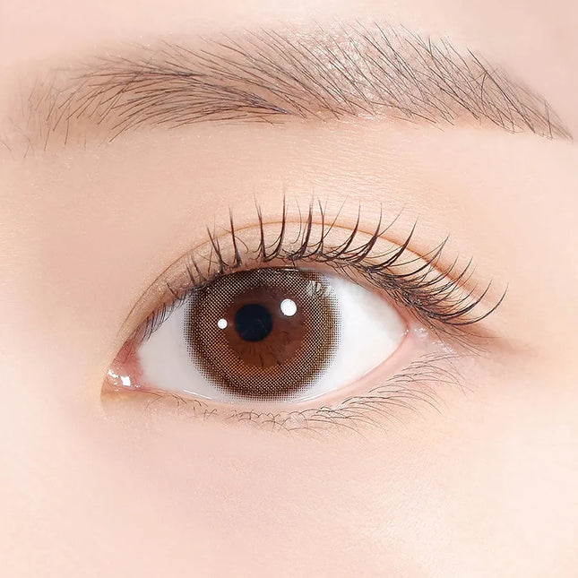 Hapa Glazed Kristin 1Day Choco Colored Contacts (1Day/10Pc)