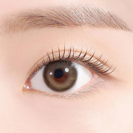 Hapa One&Only Kristin 1Day Beige (Daily/10Pc)