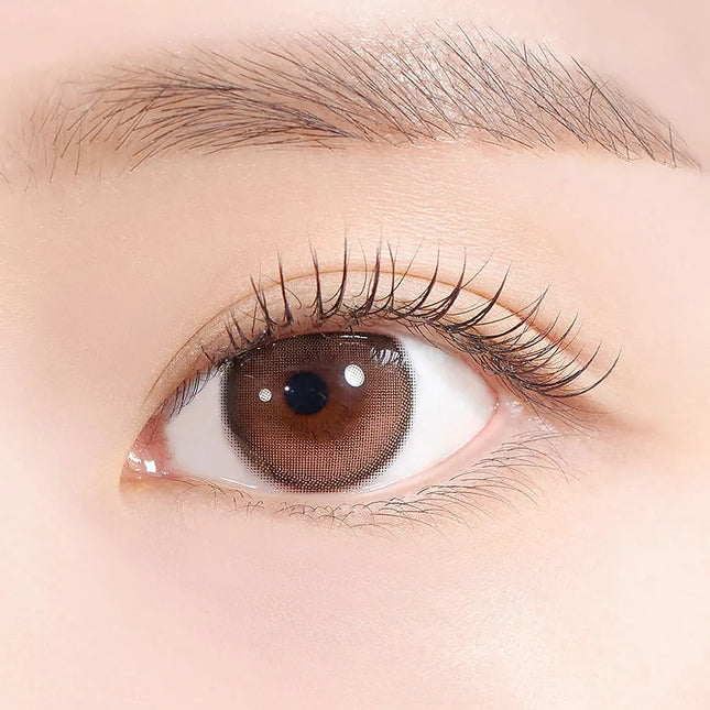 Hapa Secretive Kristin 1Day Crush Brown Colored Contacts (1Day/10Pc)