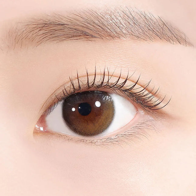 Hapa Secretive Kristin 1Day Dusk Brown Colored Contacts (1Day/10Pc)