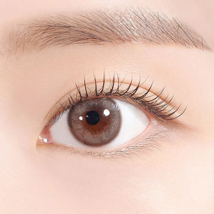 Hapa See Through Kristin 1Day Ash Choco Colored Contacts (1Day/10Pc)