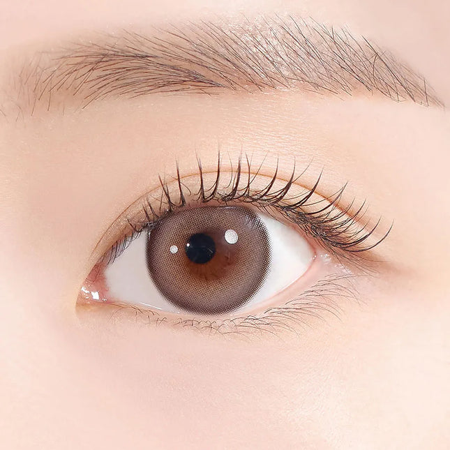 Hapa Sugar High Kristin 1Day Ash Choco Colored Contacts (1Day/10Pc)