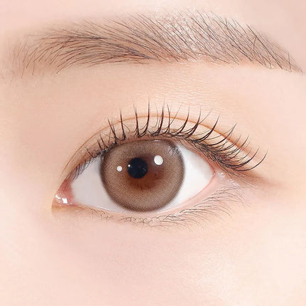 Hapa Sugar High Kristin 1Day Beige Colored Contacts (1Day/10Pc)