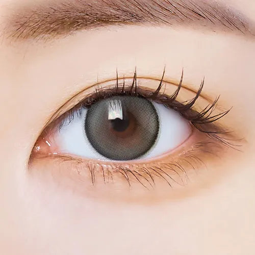 I-Sha Dekame Hug Me Gray 1Day (Daily/10Pc)