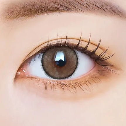 I-Sha Dekame Hug Me Taupe (Monthly/2Pc)