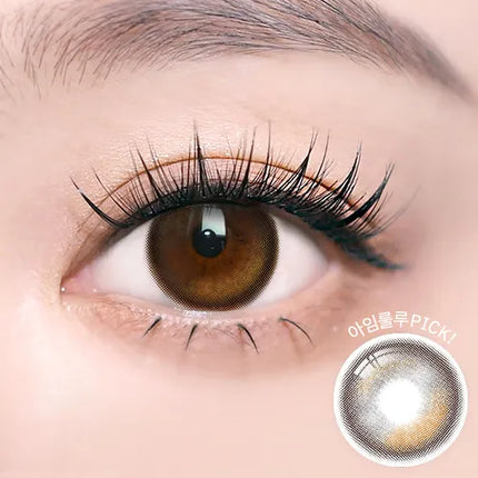 I-Sha Oriana Edge Plus Shade Brown 1Day (Daily/10Pc)