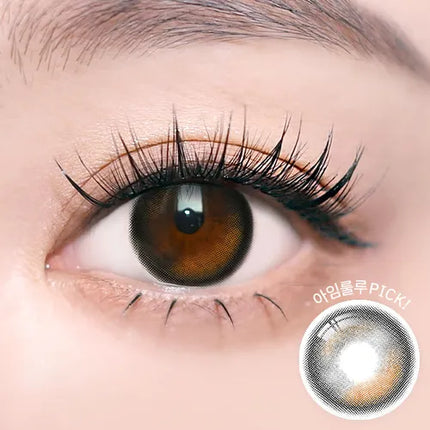 I-Sha Oriana Edge Plus Shade Gray (Monthly/2Pc)