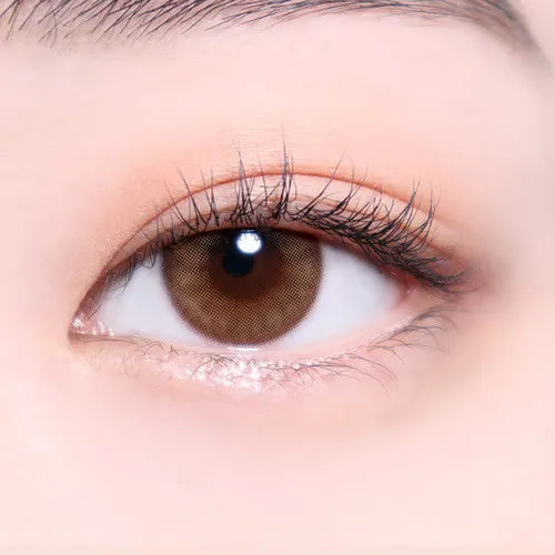 I-Sha Oriana Serenity Brown 1Day (Daily/10Pc)