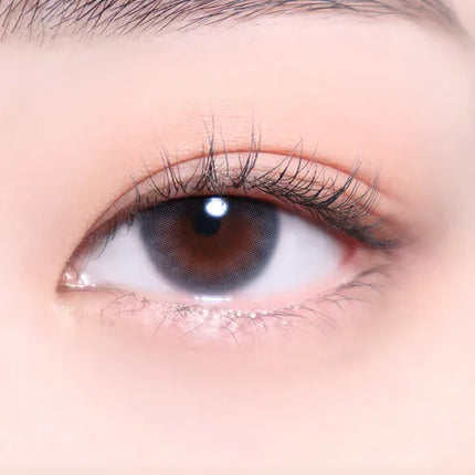 I-Sha Oriana Serenity Gray 1Day (Daily/10Pc)