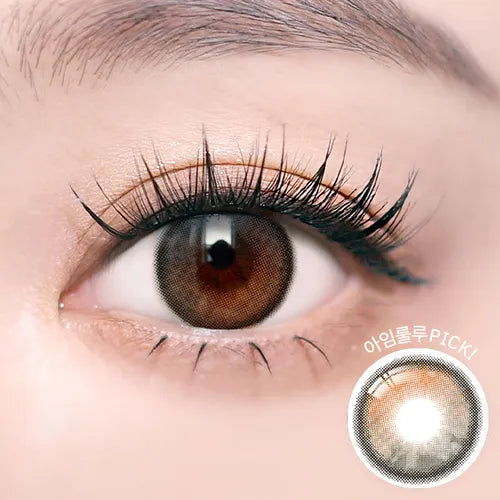 I-Sha Oriana Shade Gray 1Day (Daily/10Pc)