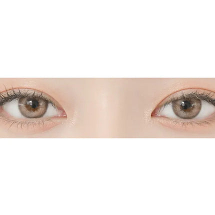 Lensrang Credit Brown (Monthly/2Pc)