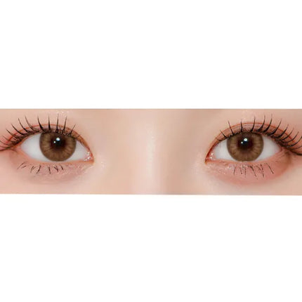 Lensme Akma Real Fit 3 Color Brown (Daily/30Pc)