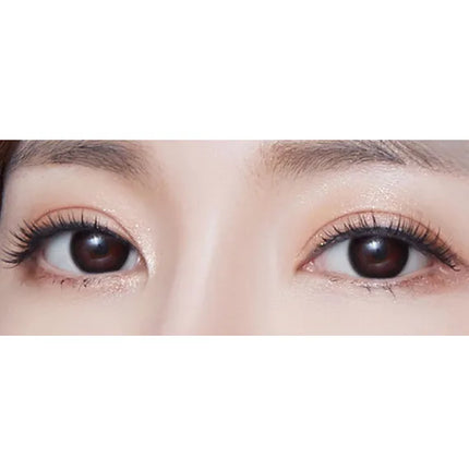 Lensme Bagle Black (Monthly/2Pc)