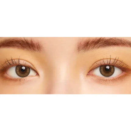 Lensme Eye Bridge Cokelat (Bulanan/2 Buah) 