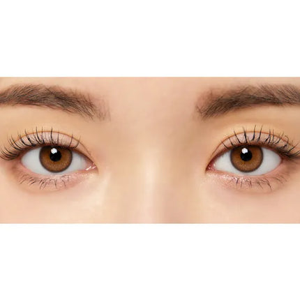 Lensme Eyedew Hidden Gray (Monthly/2Pc)