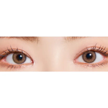 Lensme Make Look Light Brown (Monthly/2Pc)