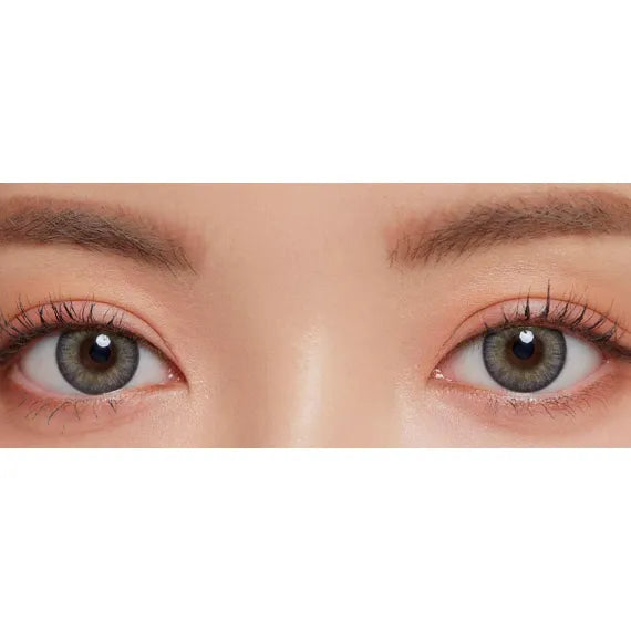 Lensme Noble Mystic Real Some 3 Color Gray (Daily/30Pc)