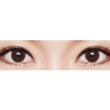 Lensme Noble Mistik Coklat Sebenar (Setiap Hari/10 Keping) 